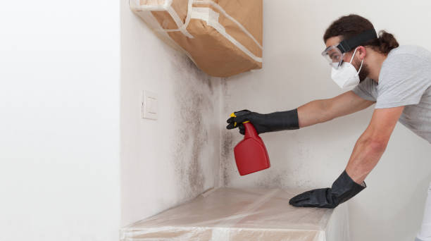 Professional Bathroom Mold Removal technician working in Woodridge, IL