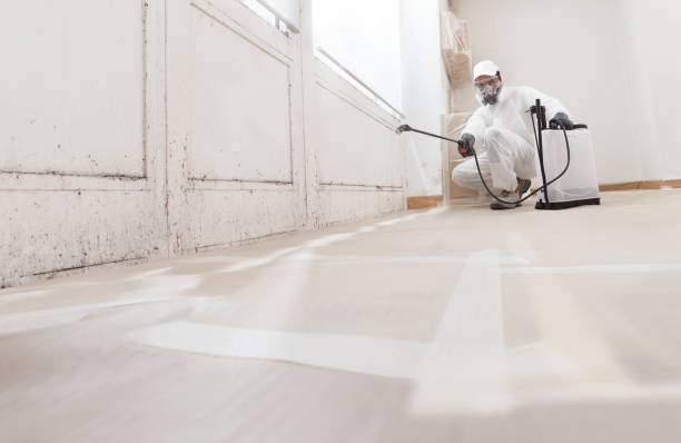 24/7 Emergency Bathroom Mold Removal experts in Woodridge, IL